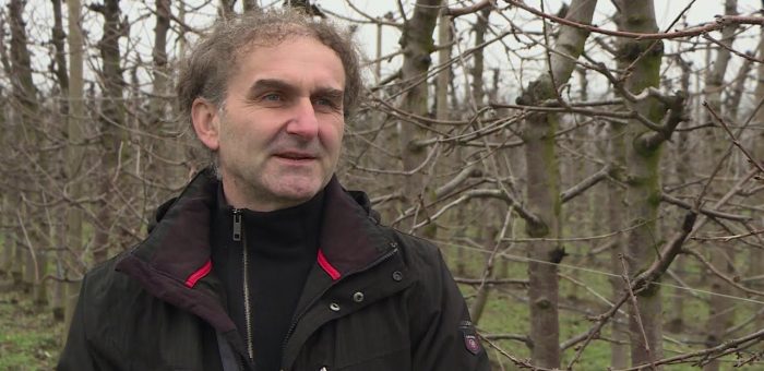 Info – Aktivnosti Udruzenja vocara i vinogradara Crveni breg iz Lapova (TV KCN 09.02.2021)