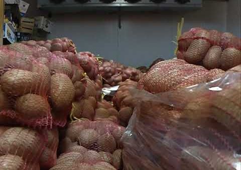 Info – Priprema zemljista za sadnju povrca (TV KCN 24.03.2021)