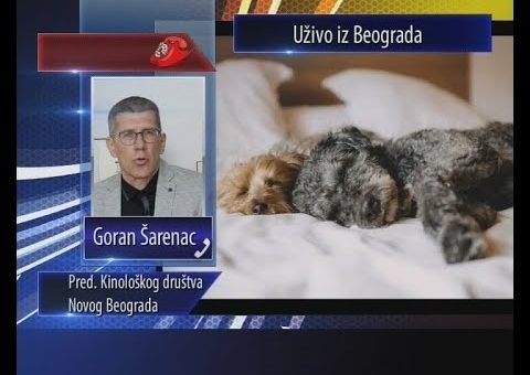 Srbija online – Goran Sarenac Fono Ukljucenje (TV KCN 04.05.2021)