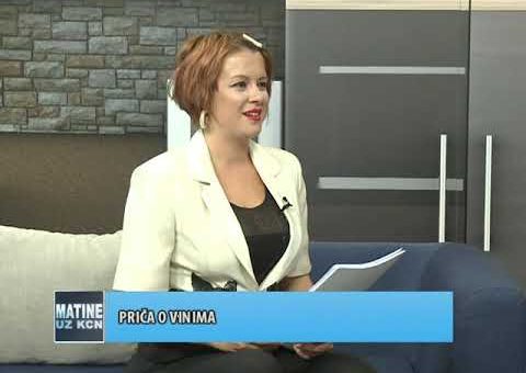 KCN Matine  – Stanisic Radosav –  „Beogurmet“ ( TV KCN 17.07.2021.)