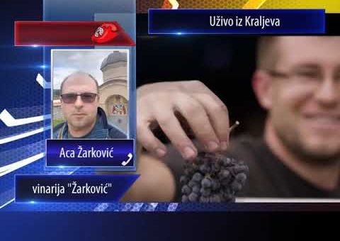 KCN Matine –  Vinarija  „Zarkovic“ ( TV KCN 17.07.2021.)