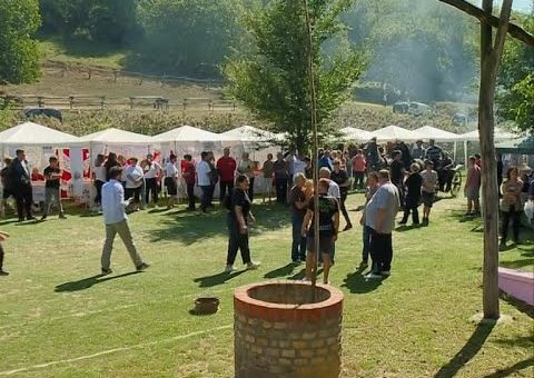 Info – Sremski rucak cobanski (TV KCN 06.09.2021)