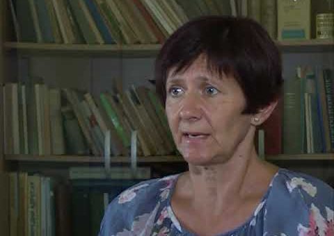 Info – Visoke temperature ostetile kukuruz (TV KCN 14.08.2021)