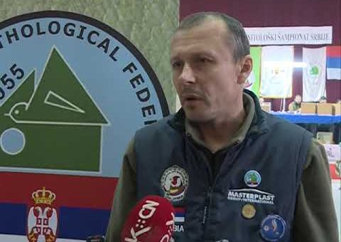 Info – 62. Ornitoloski sampionat Srbije u Jagodini (TV KCN 10.12.2021)