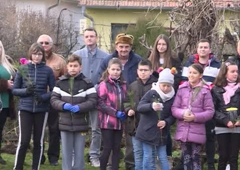 Info – Rotari klub iz Cuprije donirao sadnice (TV KCN 07.12.2021)
