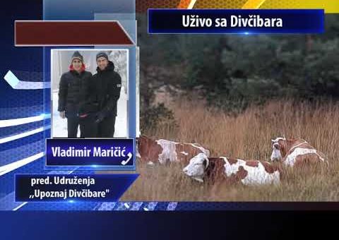 Srbija online – Fono ukljucenje Vladimir Maricic pred. Udruzenja ,,Upoznaj Divcibare“ (TV KCN)