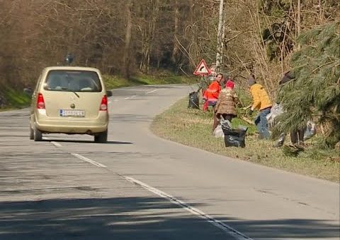 Info – Ciscenje oko Sotskog jezera (TV KCN 14.03.2022)