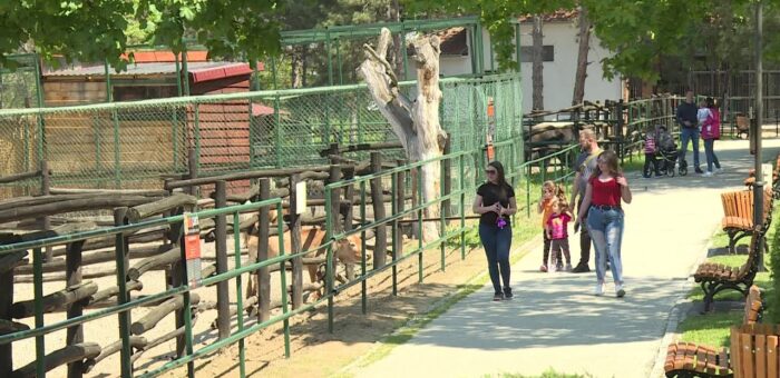 Info – Prolece u ZOO vrtu u Jagodini (TV KCN 05.05.2022)