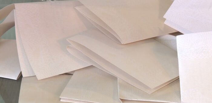 Info –  IZBORI ZA SAVETE MESNIH ZAJEDNICA U TOKU (TV KCN 19.06.2022)