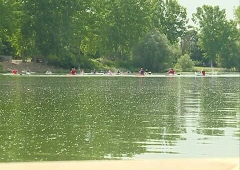 Info – Memorijalna regata (TV KCN 20.06.2022)