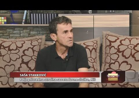 Srbija online – Sasa Stankovic (TV KCN 22.08.2022)