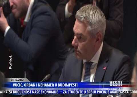 Casica razgovora – Aleksandar Gavric, predsednik Animal Rescue Serbia ( TV KCN 04.10.2022.)