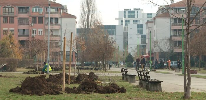 Info – Ozelenjavanje niškog naselja Stevan Sindjelić (TV KCN 29.11.2022)