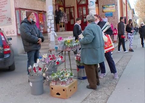 Info – Anketa 8. mart (TV KCN 08.03.2021)