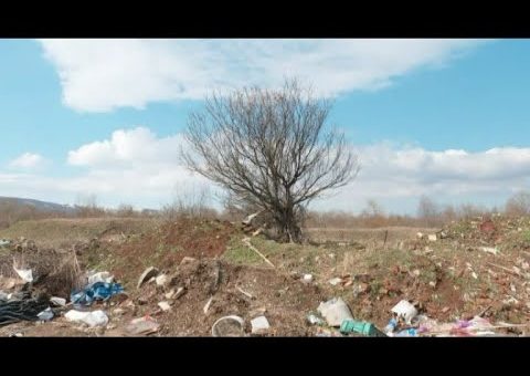 Info – Dan planete Zemlje – (TV KCN 22.04.2021)