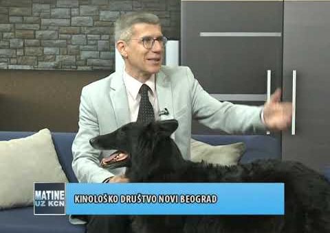 KCN Matine – Goran Sarenac – Kinolosko drustvo Novi Beograd  (TV KCN 24.04.2021.)