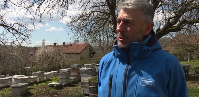 Info – Farma pcela od 2000 kosnica u Levcu (TV KCN 08.06.2021)