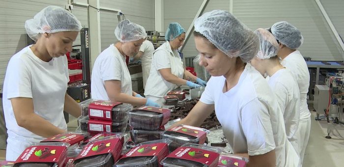 Info – KENDI RAŠ (TV KCN 23.06.2021)