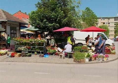 Info – Ponuda cveca na pijaci (TV KCN 02.06.2021)