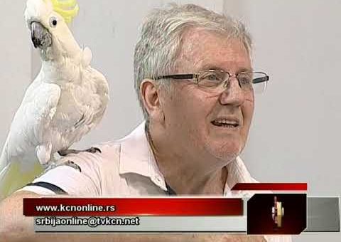 Srbija online – Redza Halid (TV KCN 25.06.2021)