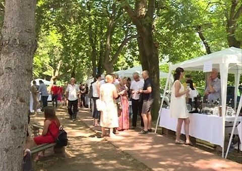 Info – Treci Vino fest u Rekovcu (TV KCN 12.07.2021)