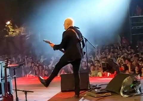 Van Gogh na Exit festivalu (TV KCN)