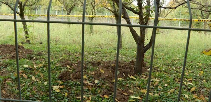 Info – Istraga ubistva porodice Đokić  (TV KCN 13.01.2022)