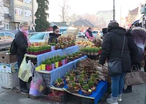 Info – Pripreme za Bozic u Jagodini (TV KCN 05.01.2022)
