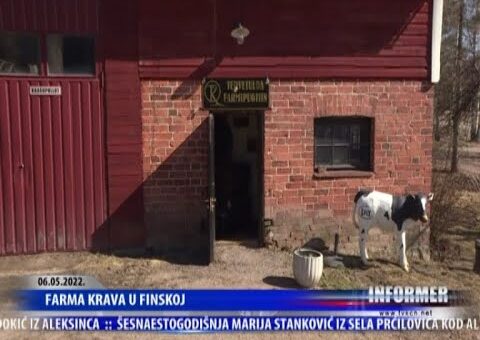 Info – Farma krava u Finskoj (TV KCN 06.05.2022)