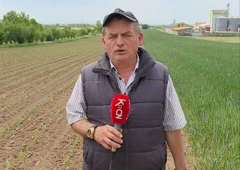 Info – Setva u Srbiji (TV KCN 11.05.2022)