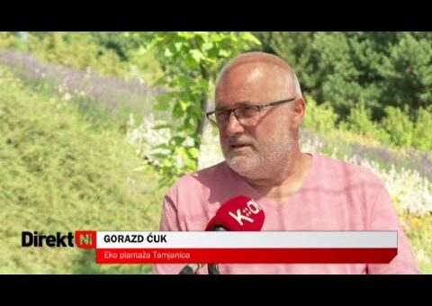 DirektNi – (TV KCN 29.06.2022)