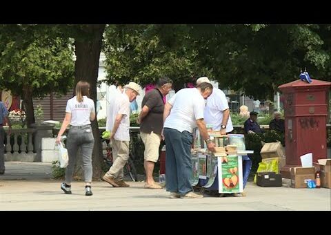 Info – Humanitarna prodaja knjiga u Jagodini (TV KCN 29.06.2022)