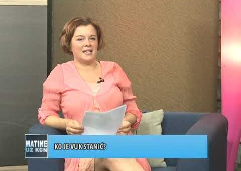 KCN Matine – Vuk Stanic, odbornik Skupstine grada Beograda (TV KCN 25.05.2022.)