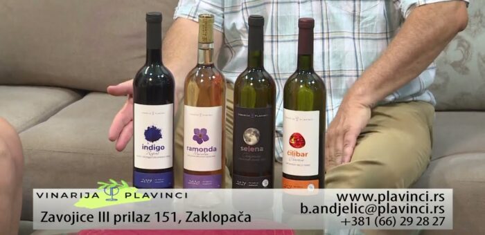 Info – Vinarija Plavinci (TV KCN)