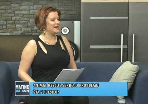 KCN Matine – Aleksandar Gavric, Animal resuce Serbia team (TV KCN 09.07.2022.)