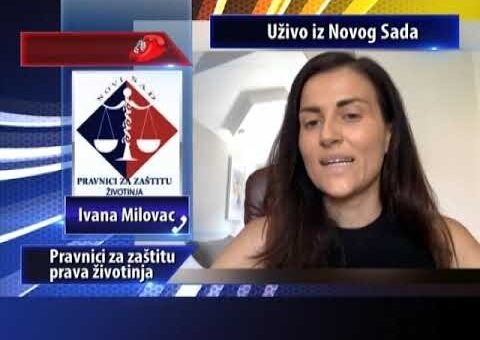 Srbija online – Ivana Milovac, Pravnici za zastitu prava zivotinja (TV KCN 05.08.2022)