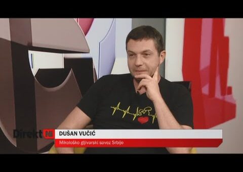 DirektNi  – Dusan Vucic (TV KCN 12.10.2022)