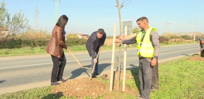 Info –  Ozelenjavanje u ulici Zapadna transferzala II (TV KCN 12.11.2022)